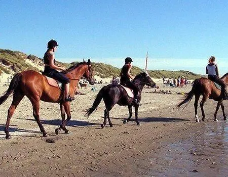 Gemuetlicher Fuer 4 Personen Callantsoog