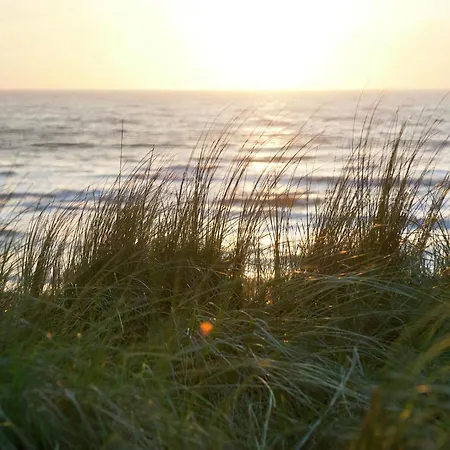 Gezellige Holiday home Callantsoog